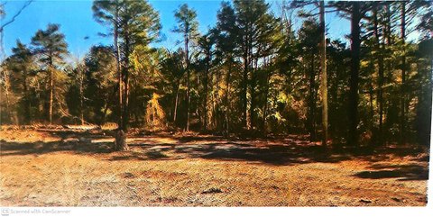 Land, London, AR