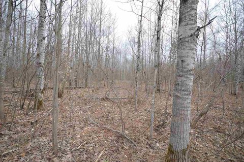 Half-Acre Lot in Lakes Community