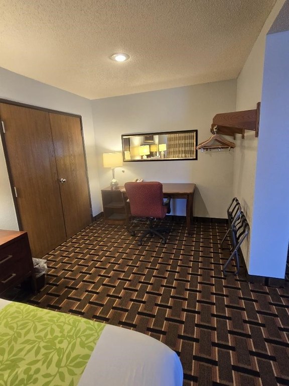 Picture 7