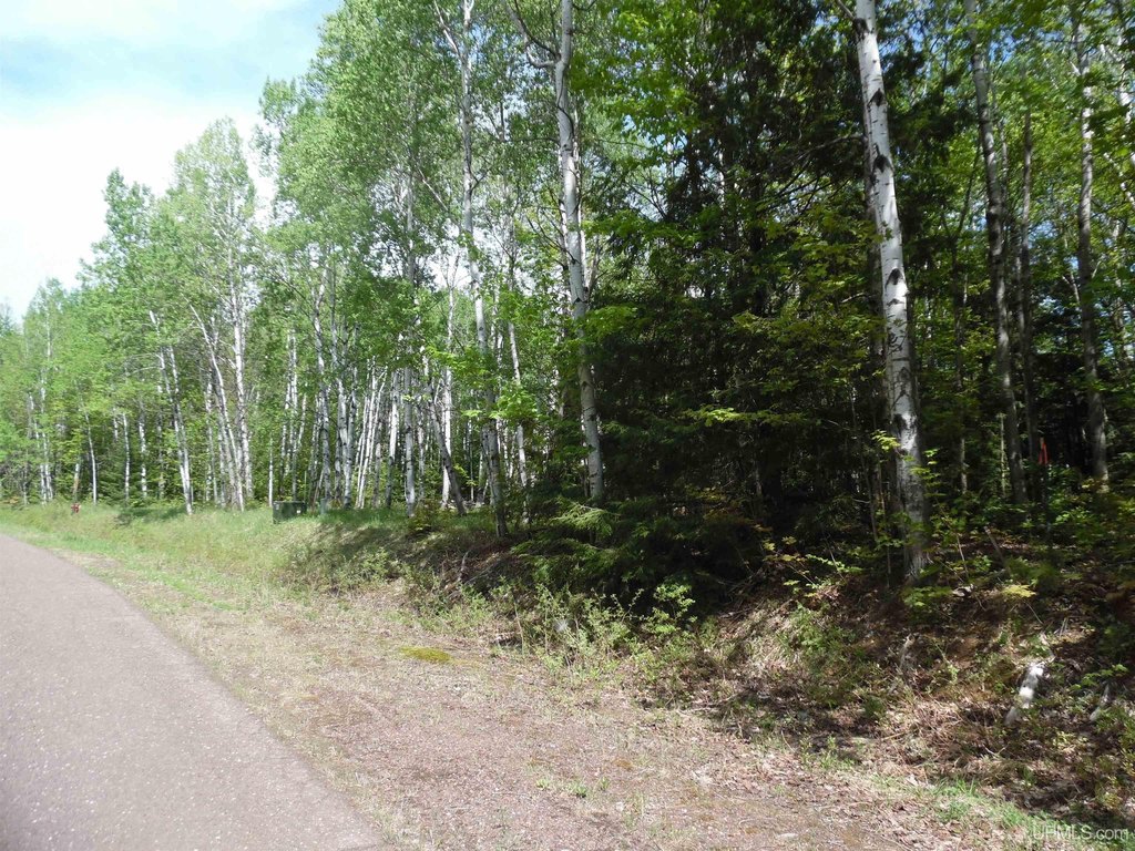 Picture 3
