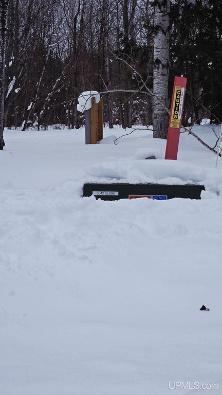 Picture 14