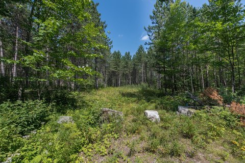 Rhinelander Hunting Land For Sale