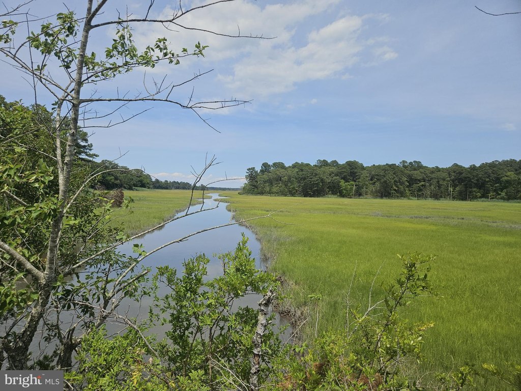 Picture 31
