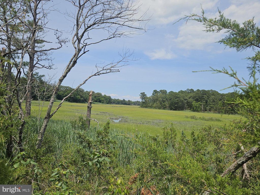 Picture 32