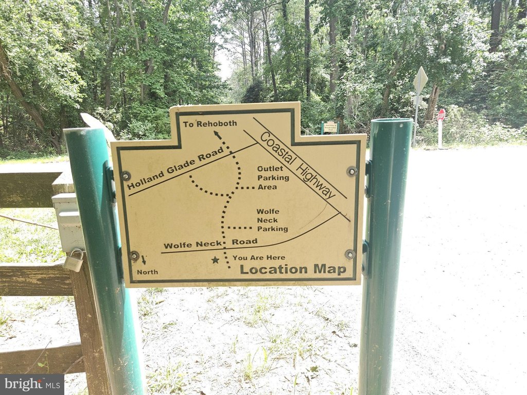 Picture 27