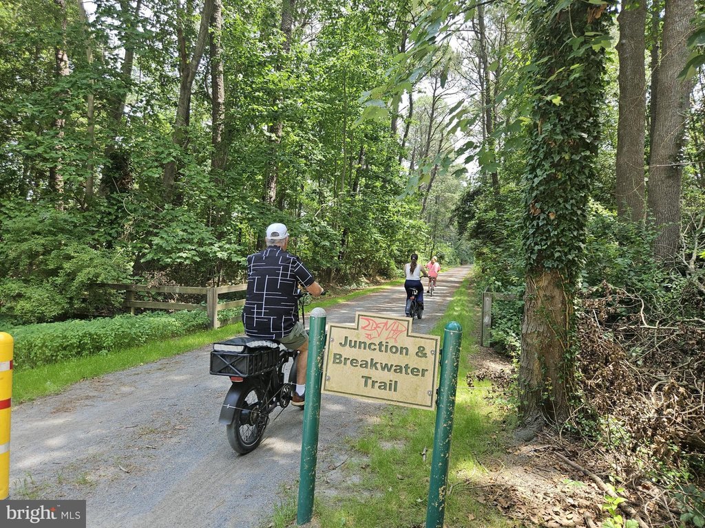 Picture 29