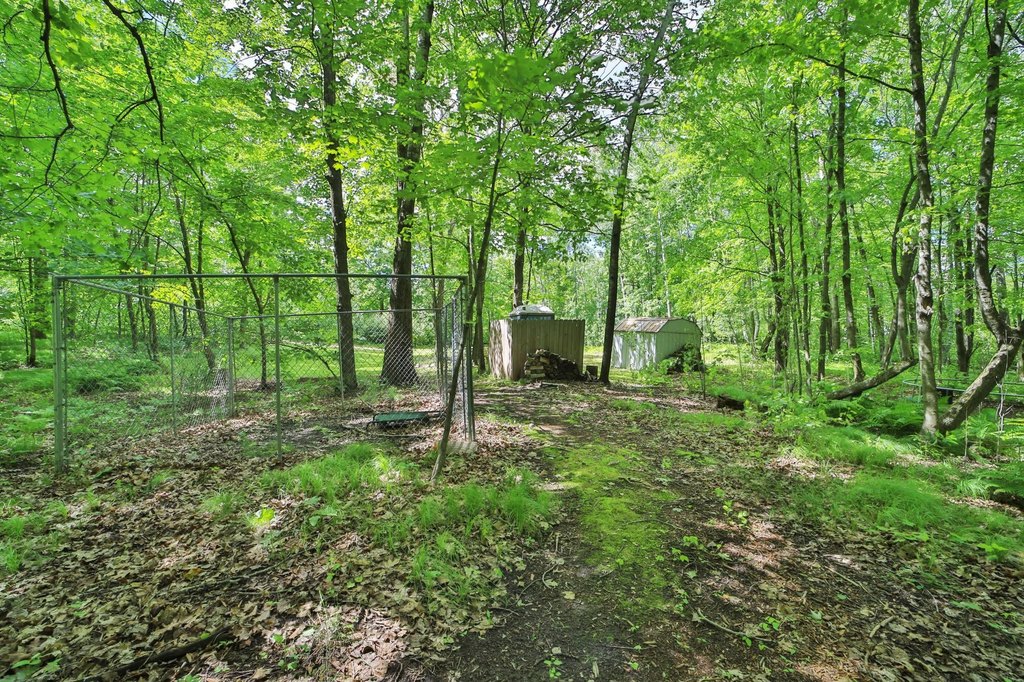 Picture 7