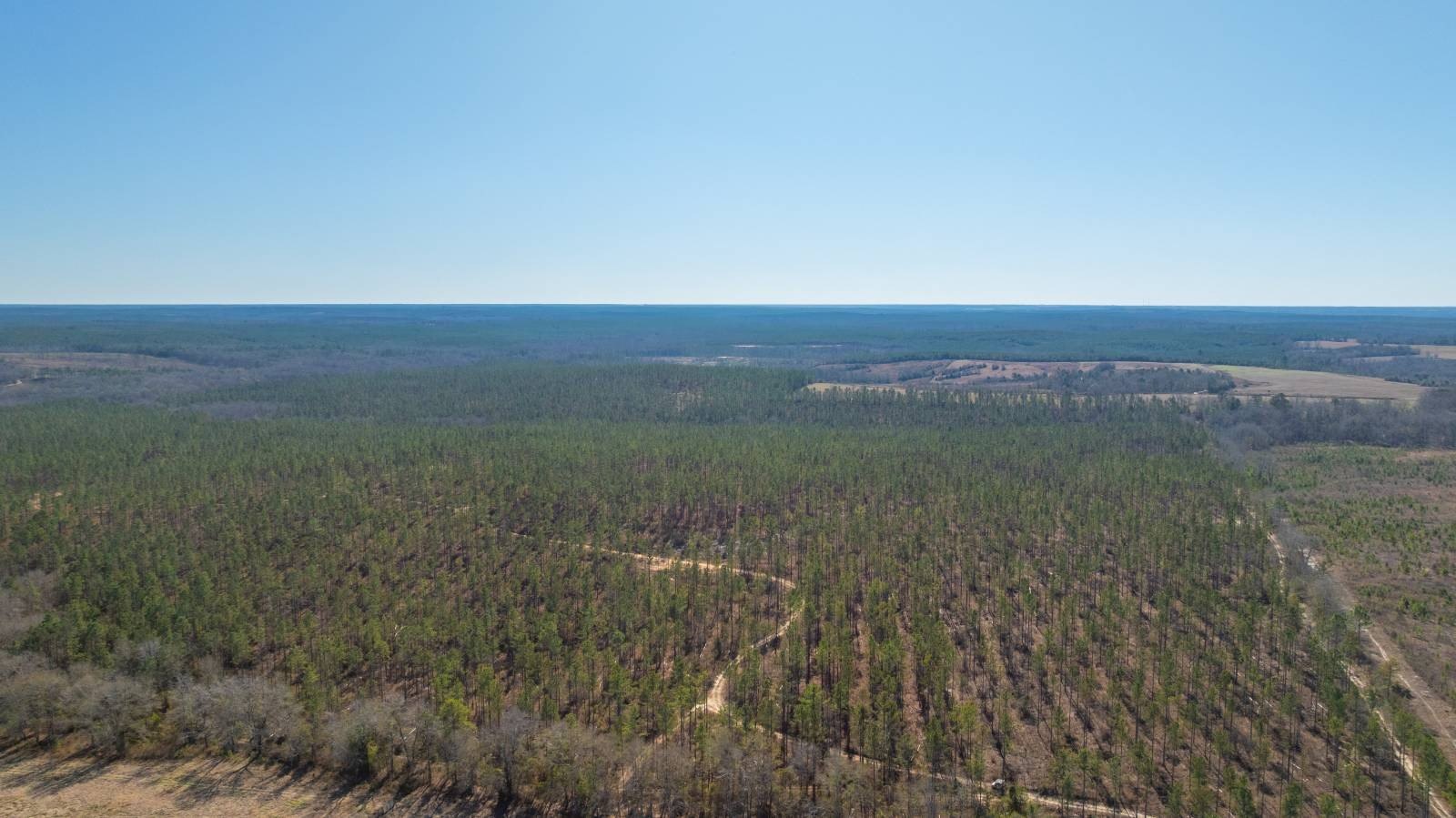 Marion County Land For Sale
