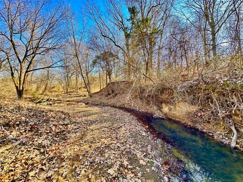 Recreational Hunting Acreage with Creek