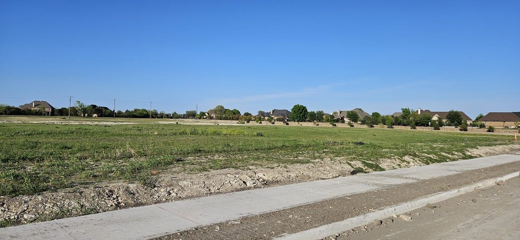 Picture 6
