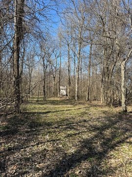 Hunting Land Near Batesville, MS