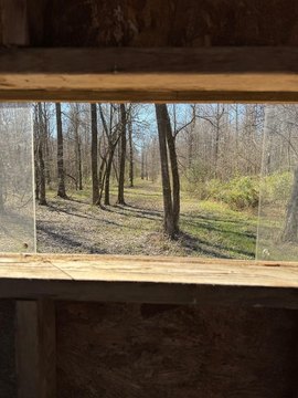Hunting Land Near Batesville, MS