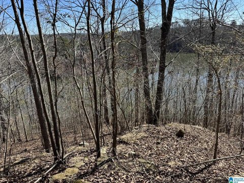 Residential Lot Near Highland Lake
