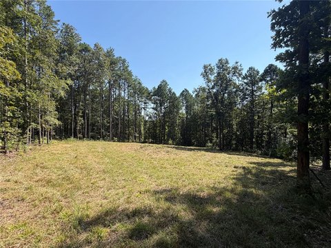 Ozarks Land with Timber and Open Space