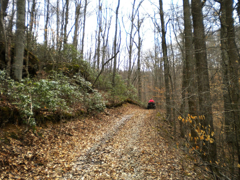 Picture 14