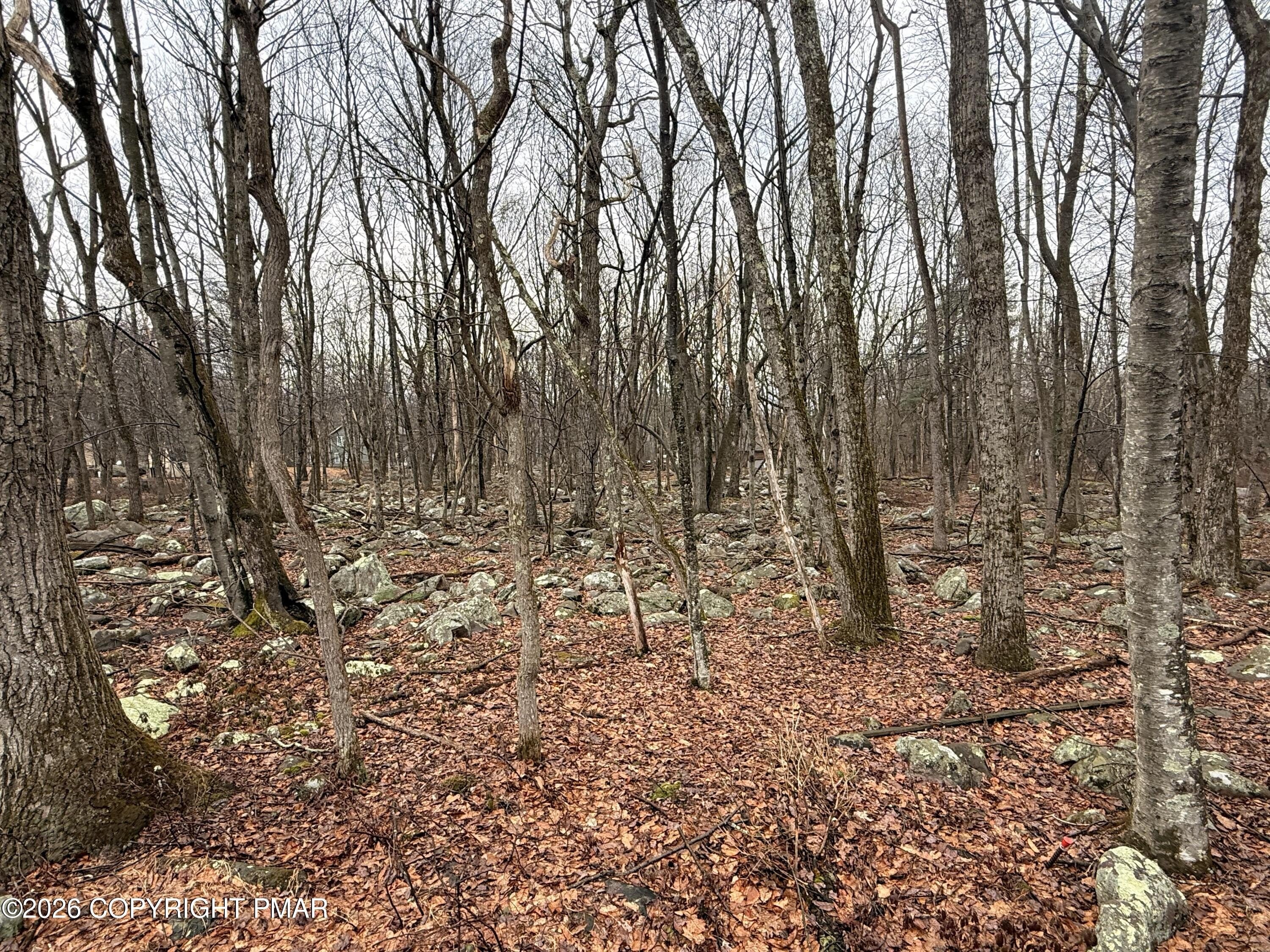 Albrightsville Land in Towamensing Trails