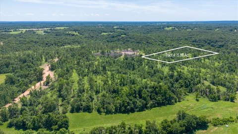 LAND - Goodman, MO