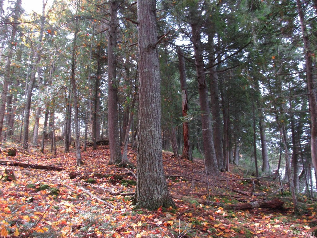 Picture 19