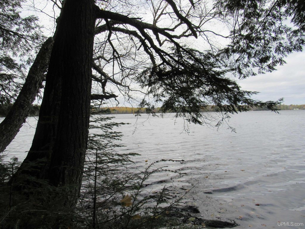 Picture 27