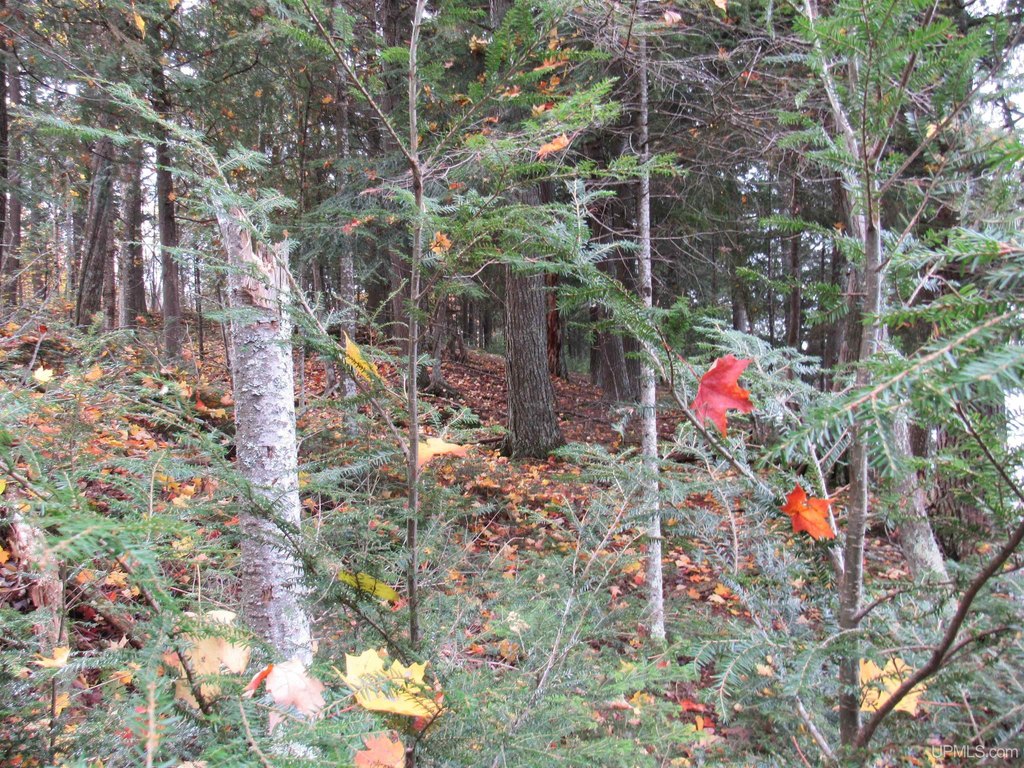 Picture 17