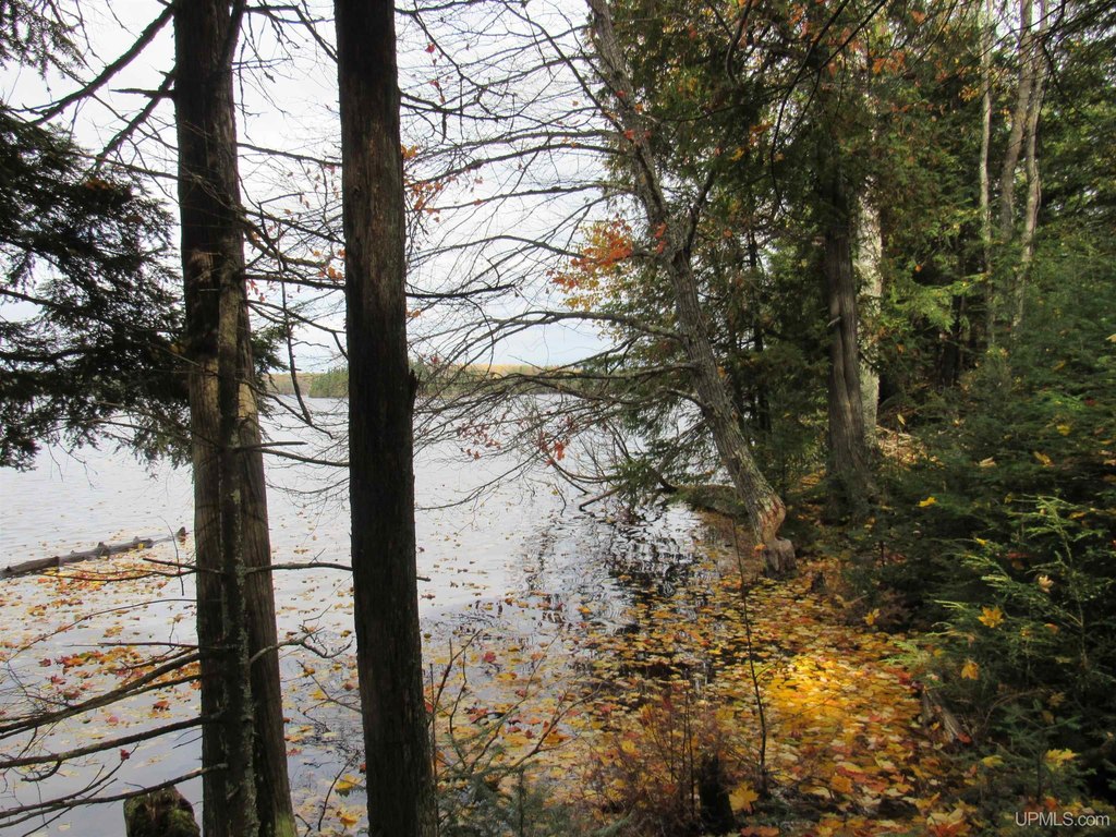 Picture 8