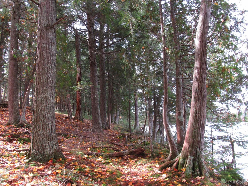 Picture 20
