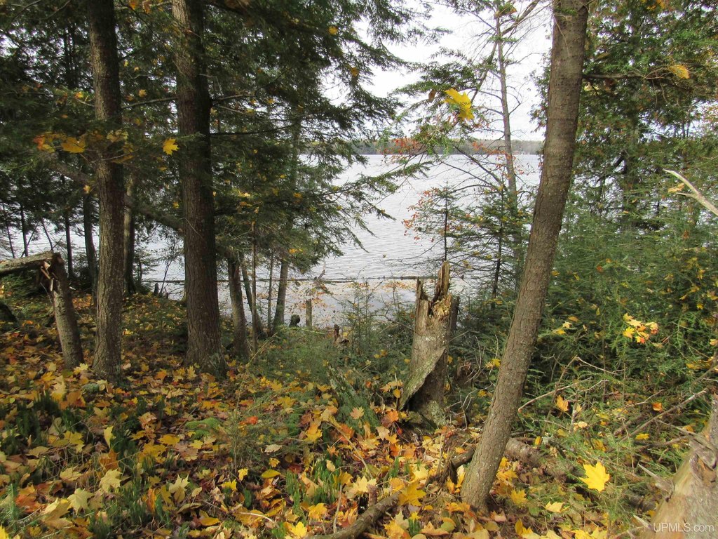 Picture 30
