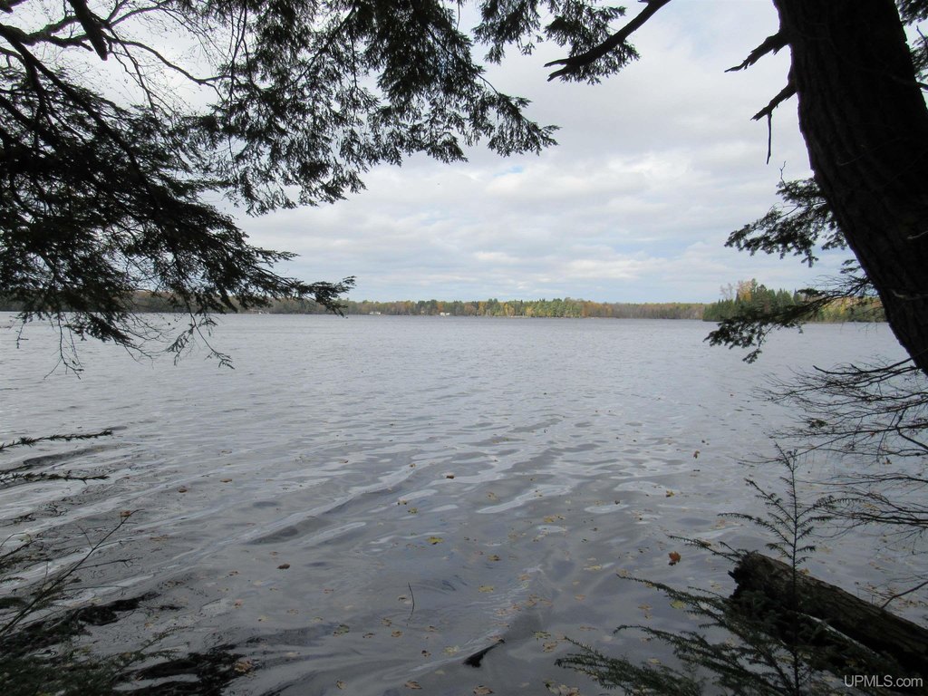 Picture 26