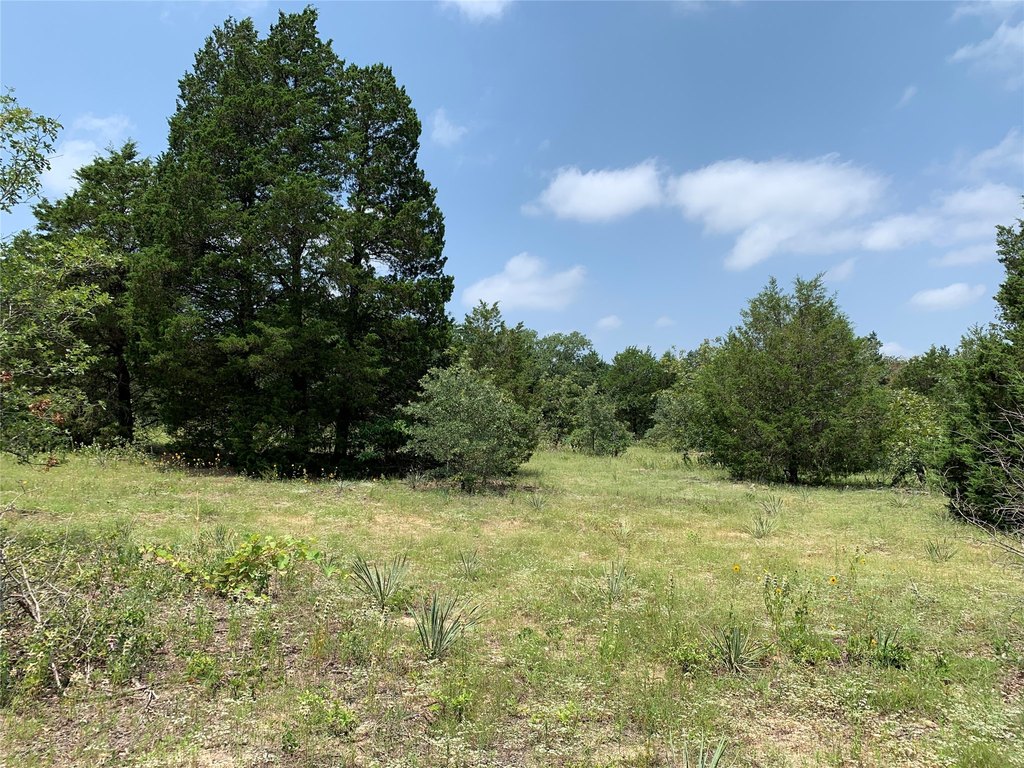 Picture 21