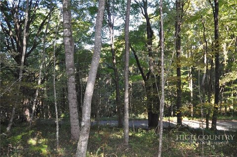 Land, Lansing, NC