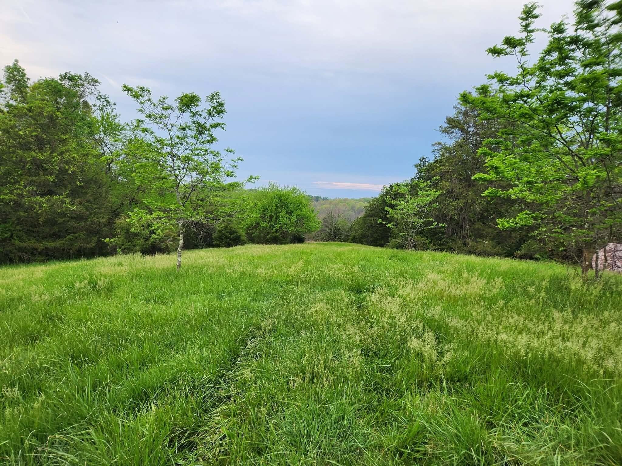Secluded Farm with Utilities Ready
