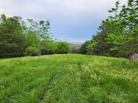 Secluded Farm with Utilities Ready