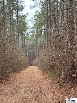 LAND - Ruston, LA