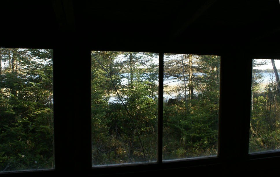 Picture 5