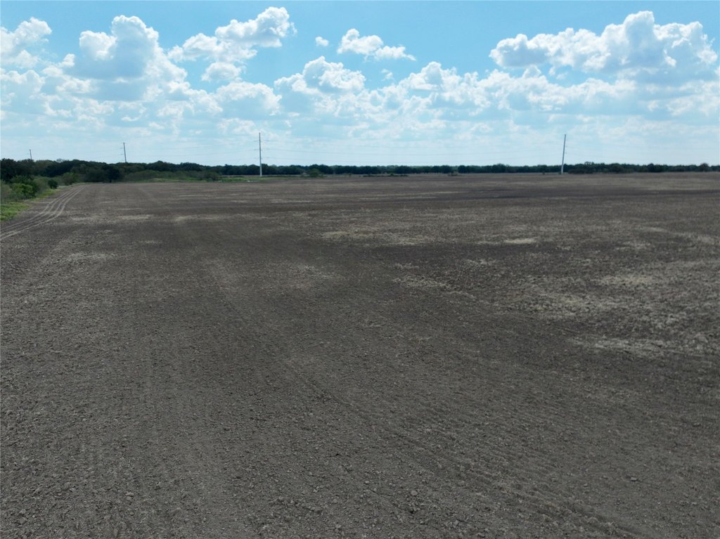 Picture 16