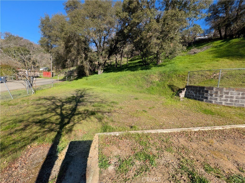 Picture 4