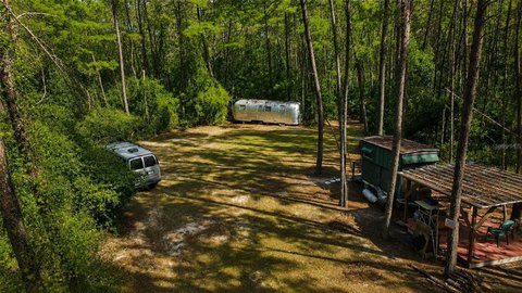Partially Cleared Hunting Land