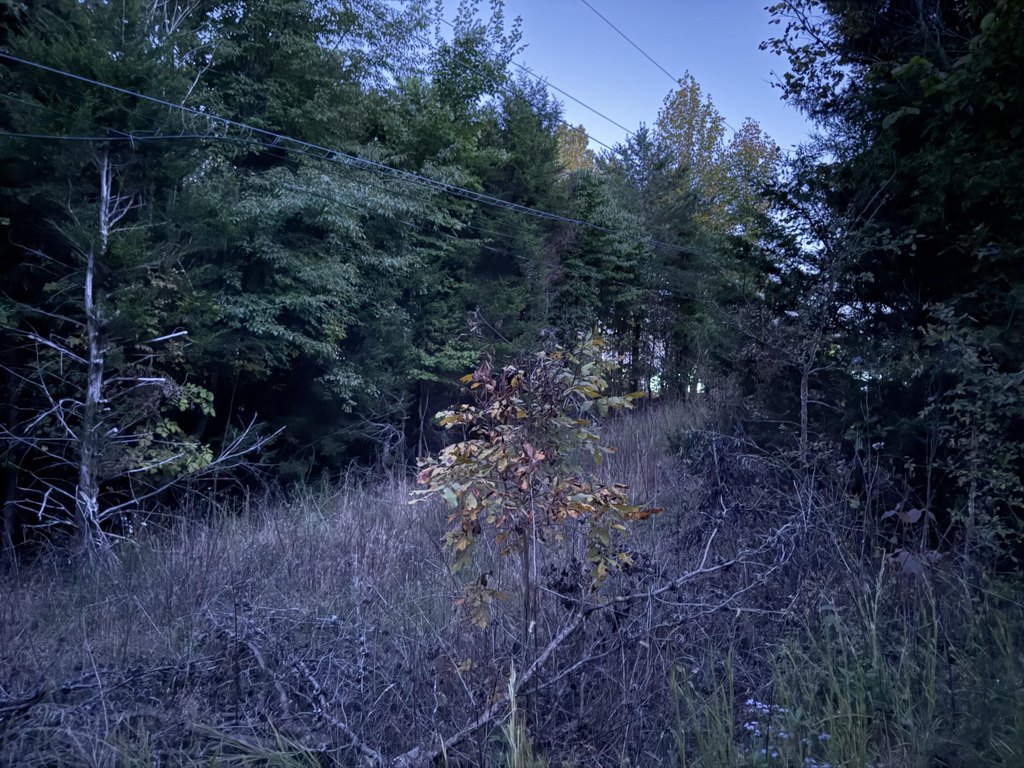 Picture 4