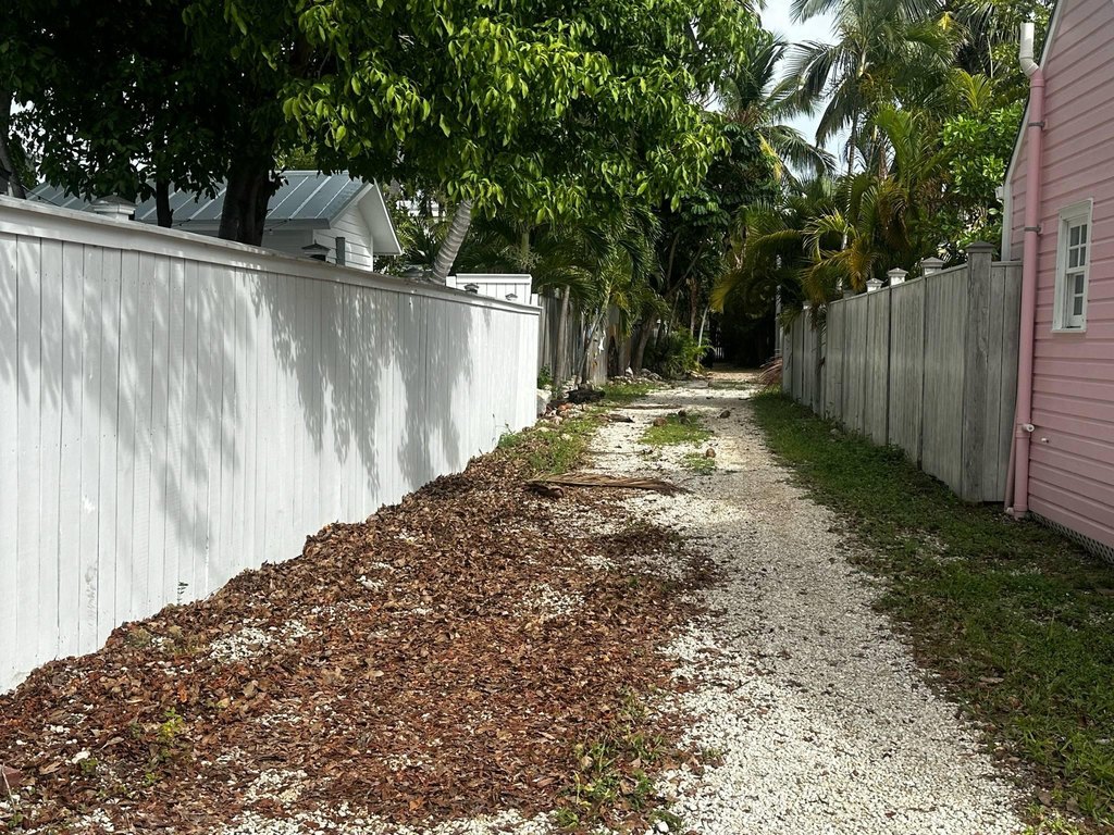 Picture 8