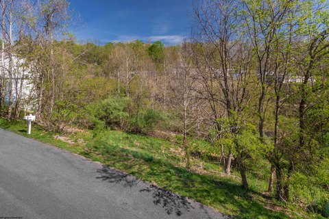 Residential Land in Cheat Lake
