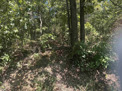 Vacant Land, Bull Shoals, AR