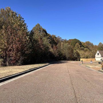 Wooded Lot in Highland Point