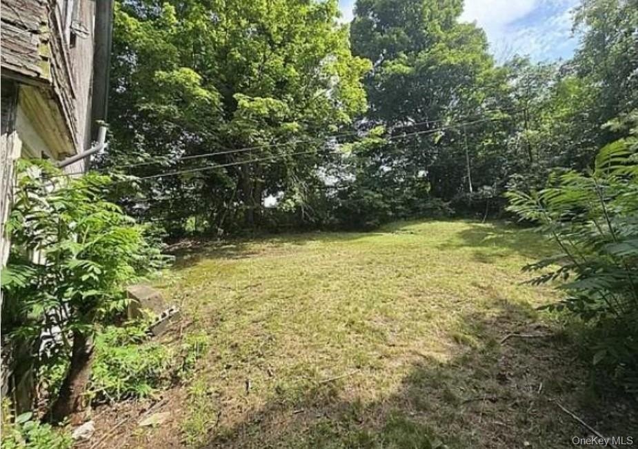 Picture 27