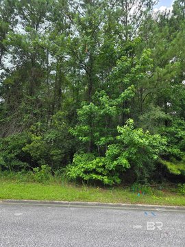 LAND - Spanish Fort, AL