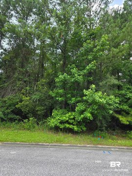 LAND - Spanish Fort, AL