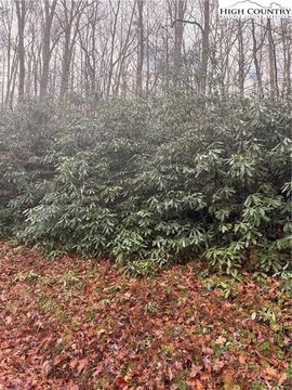 Undeveloped Land on Beech Mountain