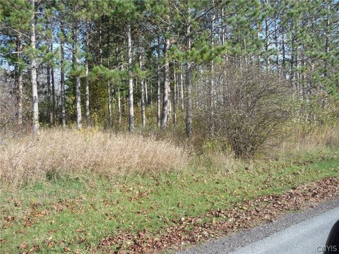 Land For Sale in Adams