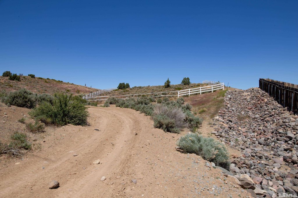 Picture 6