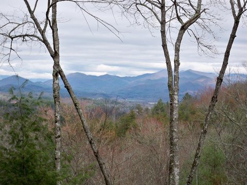 Brasstown Land with Distant Views