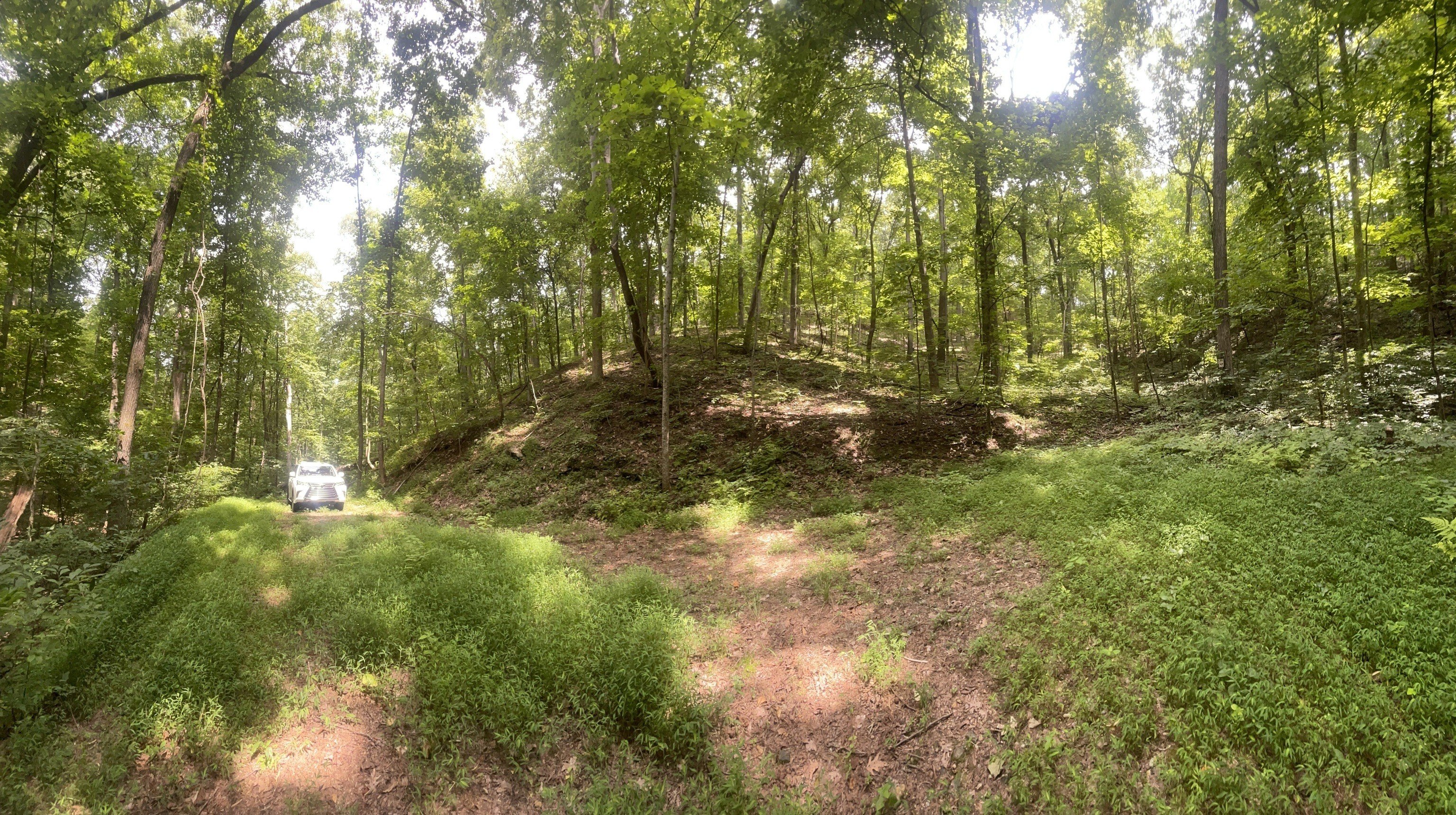 Ranger, GA Land with Views